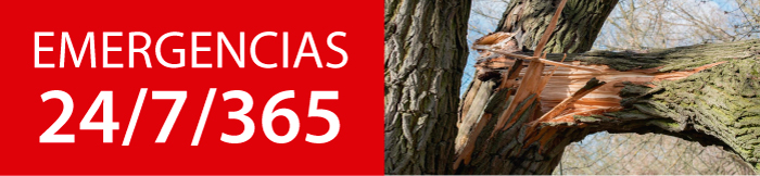 emeregencias-arboles-caidos-ramas-peligrosas-robles-del-sur