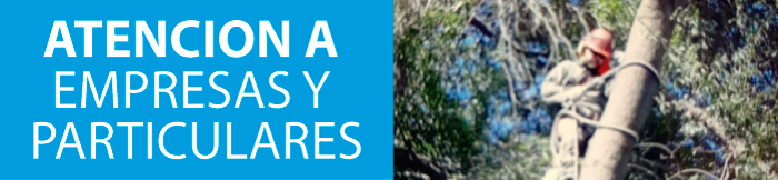 emeregencias-empresas-particulares-arboles-caidos-ramas-peligrosas-robles-del-sur